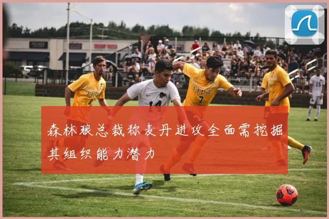 森林狼总裁称麦丹进攻全面需挖掘其组织能力潜力